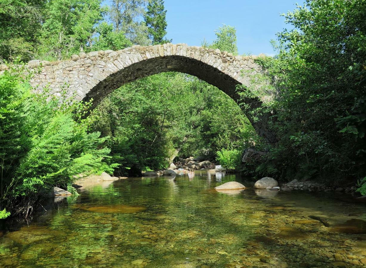 Locsera Porticcio  Kültér fotó